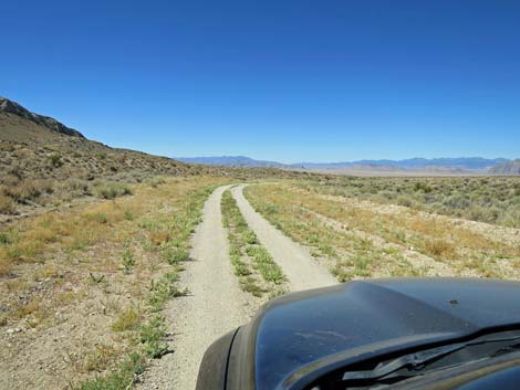 Timber Pass Road