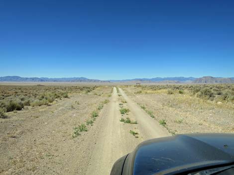 Timber Pass Road