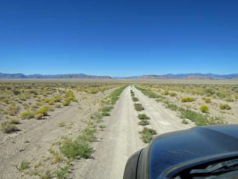 Timber Pass Road