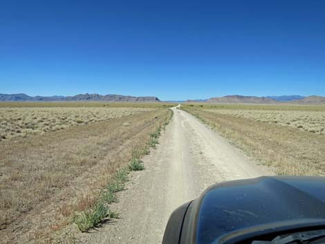 Timber Pass Road