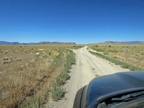 Timber Pass Road