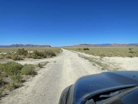 Timber Pass Road