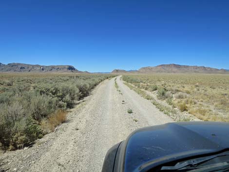 Timber Pass Road