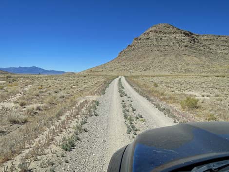 Timber Pass Road