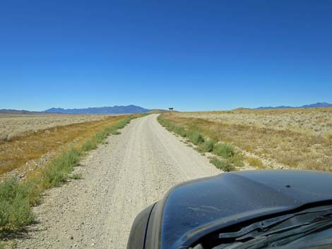 Timber Pass Road