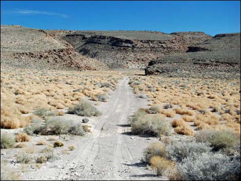 White River Narrows Road