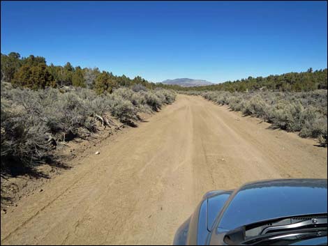 Wild Horse Valley Road