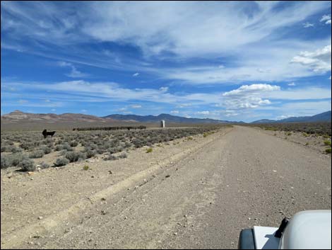 Wild Horse Valley Road