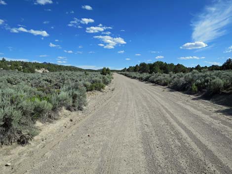 Wild Horse Valley Road