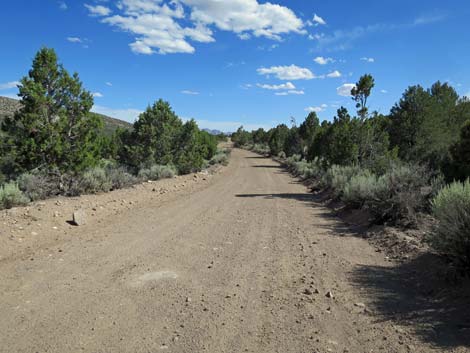 Wild Horse Valley Road