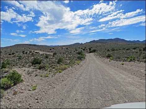 Wild Horse Valley Road