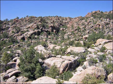 Shooting Gallery Rock Art Site