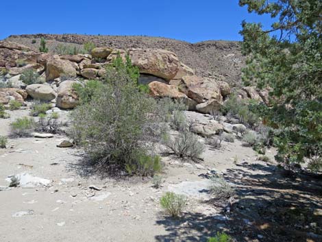 Shooting Gallery Rock Art Site