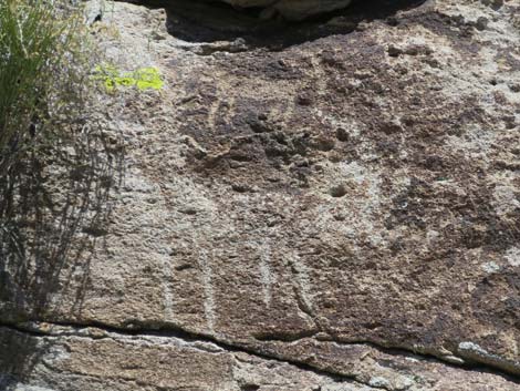 Shooting Gallery Rock Art Site