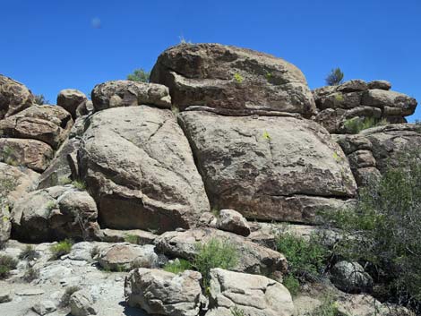 Shooting Gallery Rock Art Site