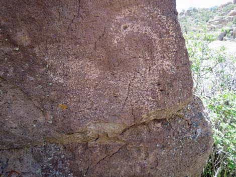 Shooting Gallery Rock Art Site