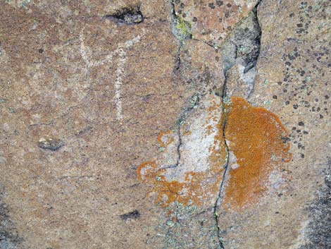 Shooting Gallery Rock Art Site