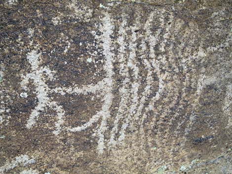 Shooting Gallery Rock Art Site