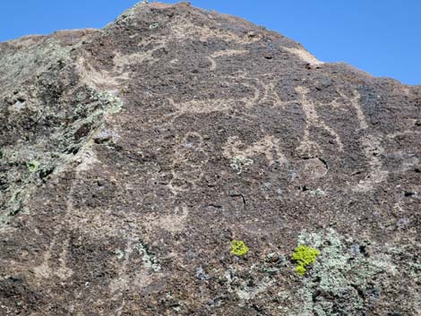 Shooting Gallery Rock Art Site