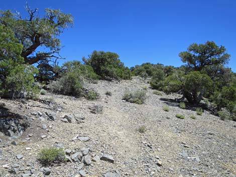 Tikaboo Peak