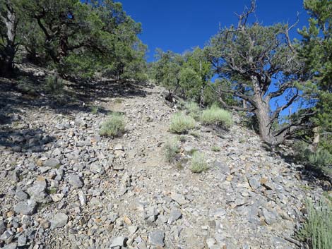 Tikaboo Peak