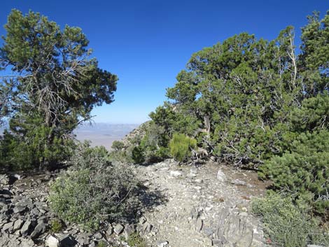 Tikaboo Peak