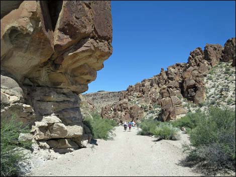 Valley of Faces