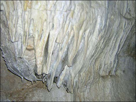 Whipple Cave