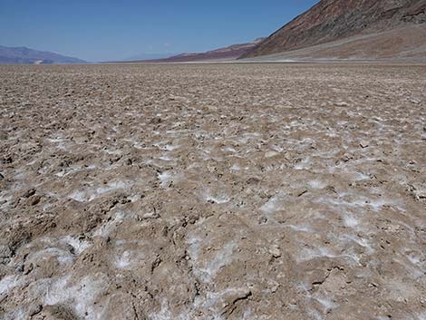 Badwater Salt Flat Trail