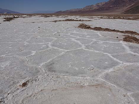 Badwater Salt Flat Trail