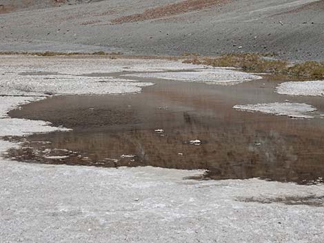 Badwater Salt Flat Trail