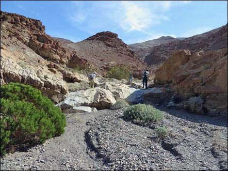 Black Point Canyon