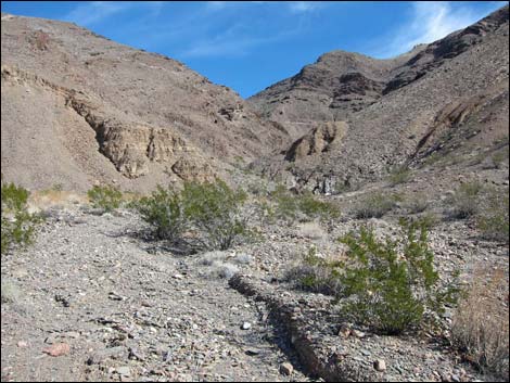 Cairn Canyon