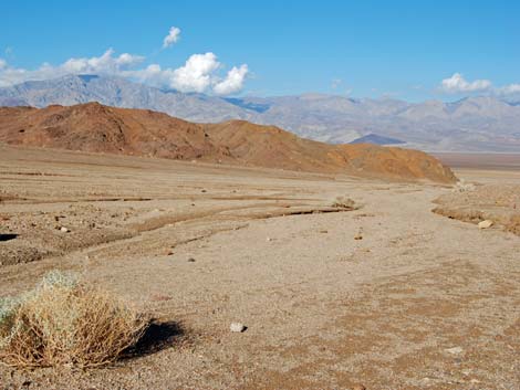 Desolation Canyon