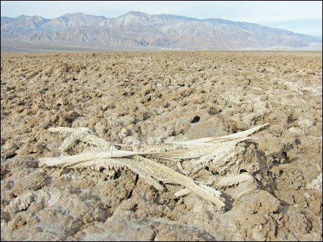 Harmony Salt Flats