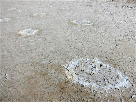 Harmony Salt Flats