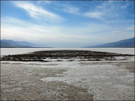 Harmony Salt Flats