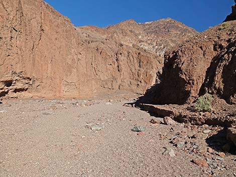 Natural Bridge Canyon