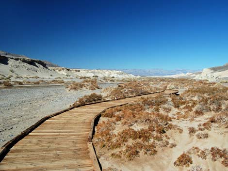 Salt Creek Trail