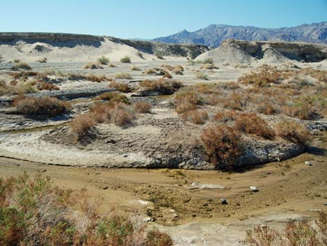 Salt Creek Trail