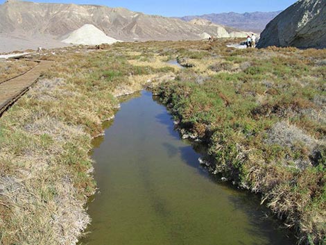 Death Valley National Park, Salt Creek