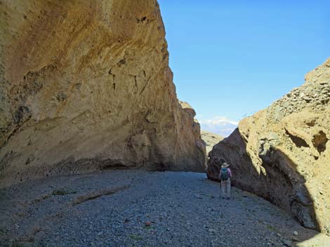 Sidewinder Canyon