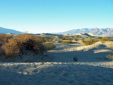 Mesquite Flat Sand Dunes