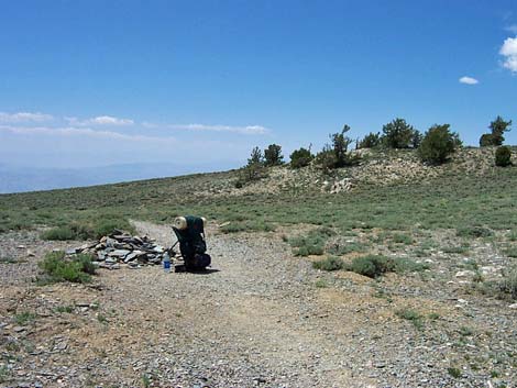 telescope peak