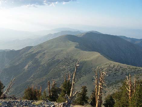 telescope peak