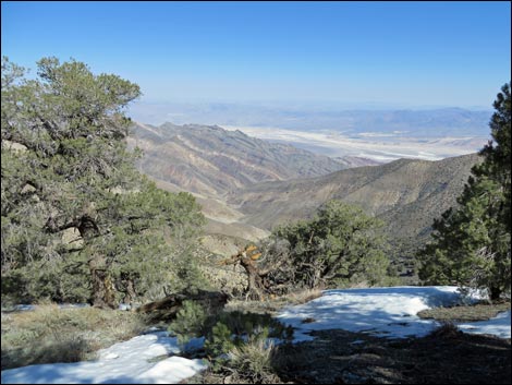 Wildrose Peak