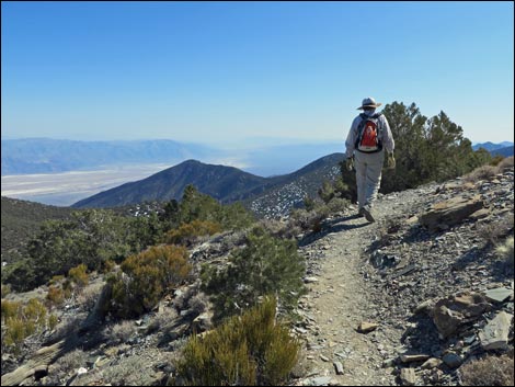 Wildrose Peak