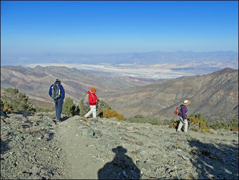 Wildrose Peak