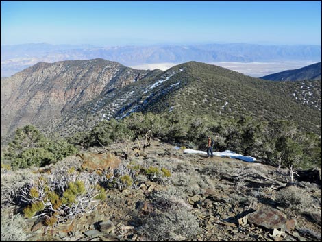 Wildrose Peak