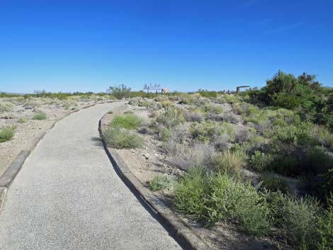 Bighorn Trail